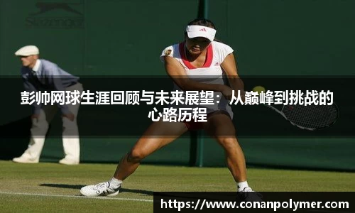 3377体育官网入口