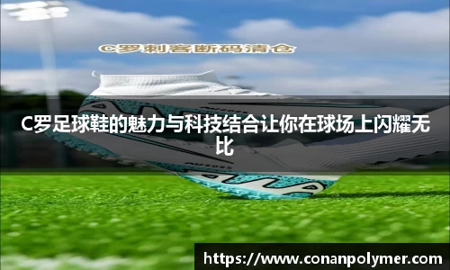 3377体育官网入口
