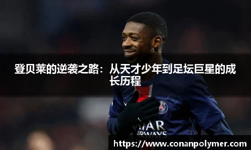 3377体育官网入口